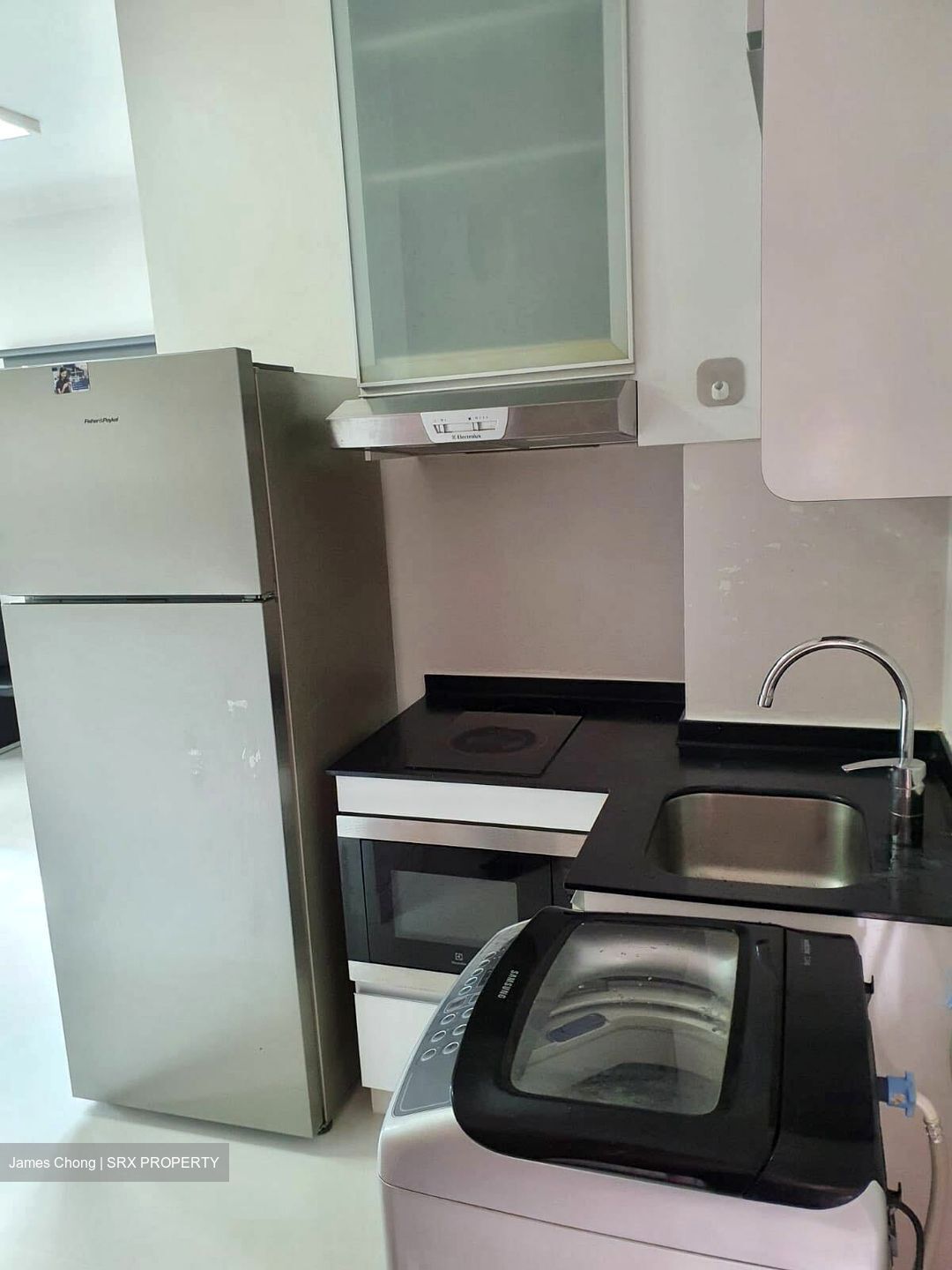 Parc Rosewood (D25), Condominium #578787551
